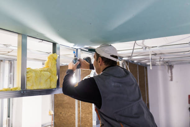 Best Insulation Installation Services in Crosby, ND